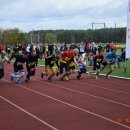 biegwoj 43